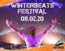 Winterbeats Festival 2020 Logo