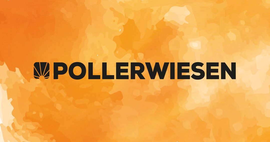 PollerWiesen Festival PollerWiesen Festival Logo