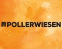 PollerWiesen Festival PollerWiesen Festival Logo