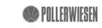 PollerWiesen 30 years - Dortmund Logo