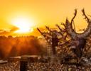 Mysteryland - Tagestour Samstag Mysteryland - Tagestour Samstag Logo