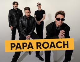 Papa Roach @Biggesee Open Air Logo